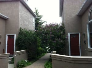 A freshly painted exterior from Mountianview Painters